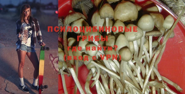 мдпв Костерёво