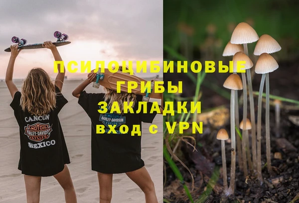 бутират Козловка