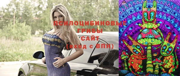 прущая мука Кодинск